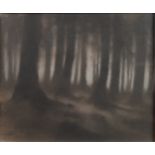 MARTIN DOBSON (b.1947 ) MONOCHROMATIC PASTEL DRAWING Woodland scene Signed 'Dobson' and dated 1986