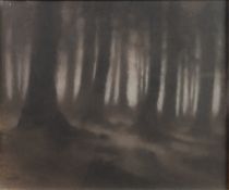 MARTIN DOBSON (b.1947 ) MONOCHROMATIC PASTEL DRAWING Woodland scene Signed 'Dobson' and dated 1986