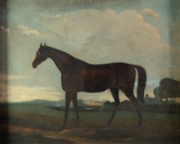 19th CENTURY ENGLISH SCHOOL OIL PAINTING ON CANVAS Chestnut hunter in a landscape 20in x 24in (51