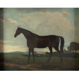 19th CENTURY ENGLISH SCHOOL OIL PAINTING ON CANVAS Chestnut hunter in a landscape 20in x 24in (51