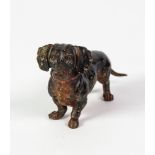 EARLY 20th CENTURY COLD PAINTED BRONZE FIGURE OF A DACHSHUND, standing on all fours, 4in (10.2cm)