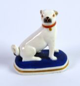 CHAMBERLAIN’S WORCESTER PORCELAIN MODEL OF A SEATED PUG, on a blue and gilt lined rounded oblong