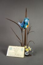 ALBANY FINE BONE CHINA LIMITED EDITION ‘KINGFISHER’ BRONZE, GLASS AND CHINA MODEL BY DAVID BURNHAM-