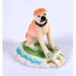 NINETEENTH CENTURY DERBY PORCELAIN MODEL OF A SEATED PUG, painted in colours and gilt, on a