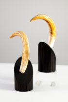 PAIR OF WARTHOG TUSKS MOUNTED ON ANGLED CYLINDRICAL DARK STAINED WOOD BASES, 10” (25.4cm) high, (2)
