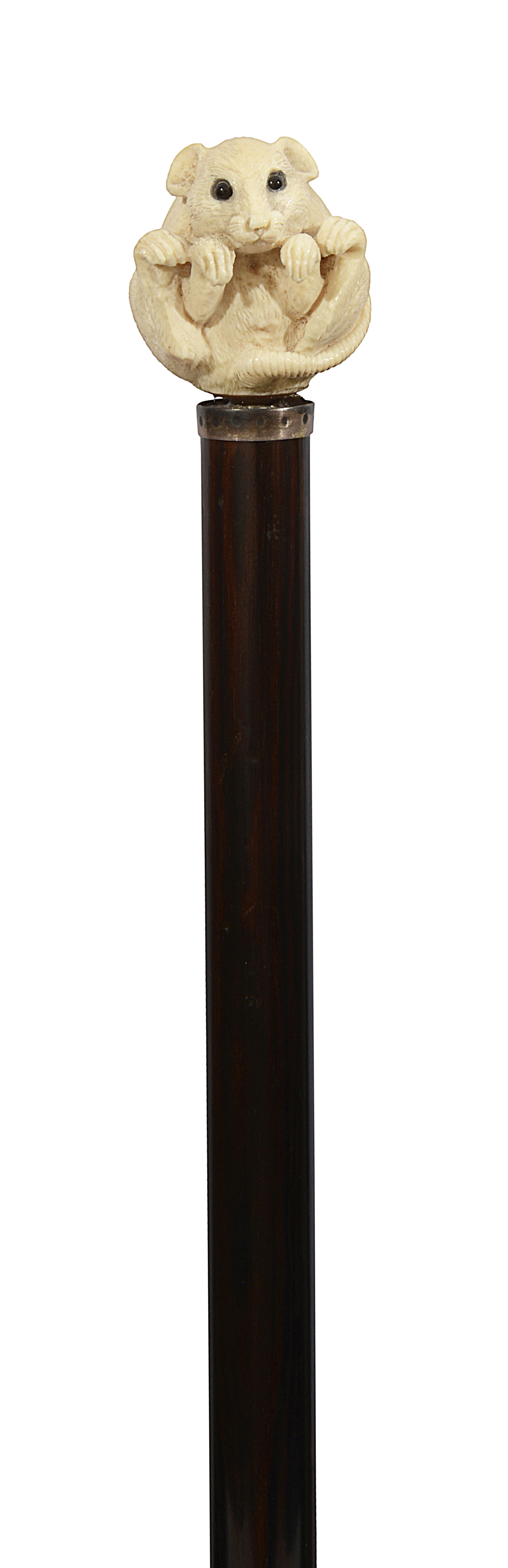 An Edwardian novelty walking stick