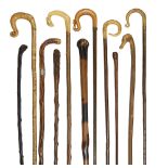 A collection of Victorian and later hedgerow walking sticks