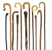 A collection of Victorian and later hedgerow walking sticks