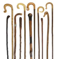 A collection of Victorian and later hedgerow walking sticks