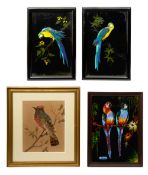 A pair of of framed feather pictures of parrots and another