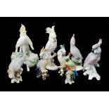 A collection of bird and parrot figurines (6)