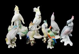 A collection of bird and parrot figurines (6)