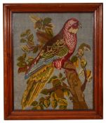 A late 19th century wool tapestry of a parrot