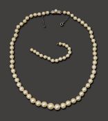 A string of cultured pearls