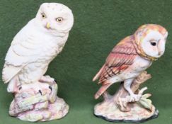 Aynsley unglazed ceramic snowy owl, plus unglazed barn owl. Larger approx. 18.5cm Both appear in