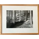 ALAN MCKERNAN, 'IN THE SHADOWS OF THE THE PINES', ARTIST PROOF, FRAMED AND GLAZED, APPROX 26 x 39cm