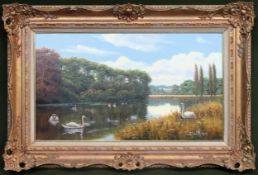 David Morgan 20th century gilt framed oil on canvas depicting a river scene with Swans. Approx. 45 x