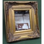 Small gilt framed wall mirror. Approx. 48cms x 42cms minor damage to frame