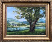 Vashti Suffeh - Framed oil on camvas depicitng a country lakeside scene. Approx. 30cms x 39cms