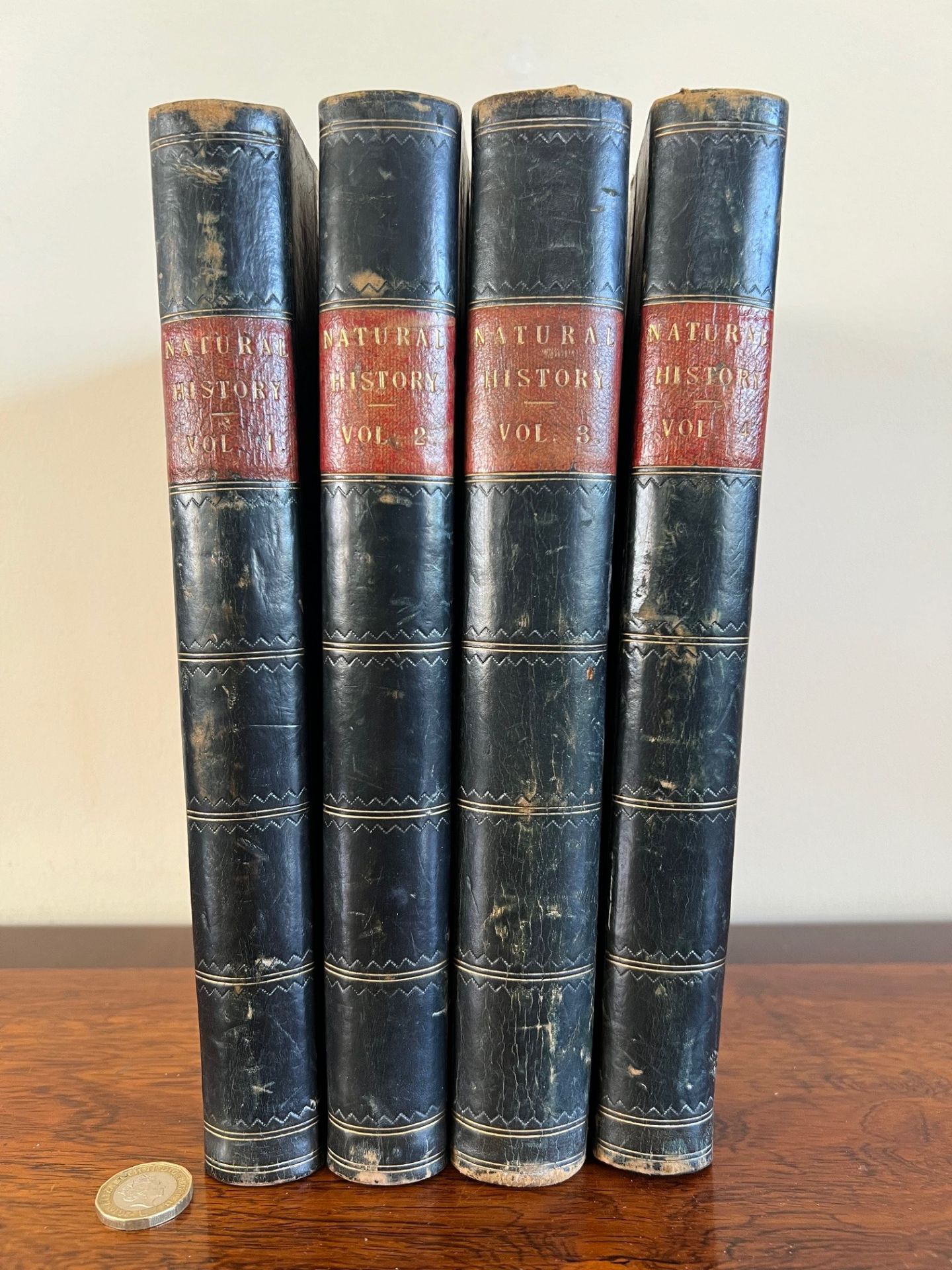 CASSELL'S NATURAL HISTORY, FOUR VOLUMES, QUARTER LEATHER BOARDS - Image 2 of 6