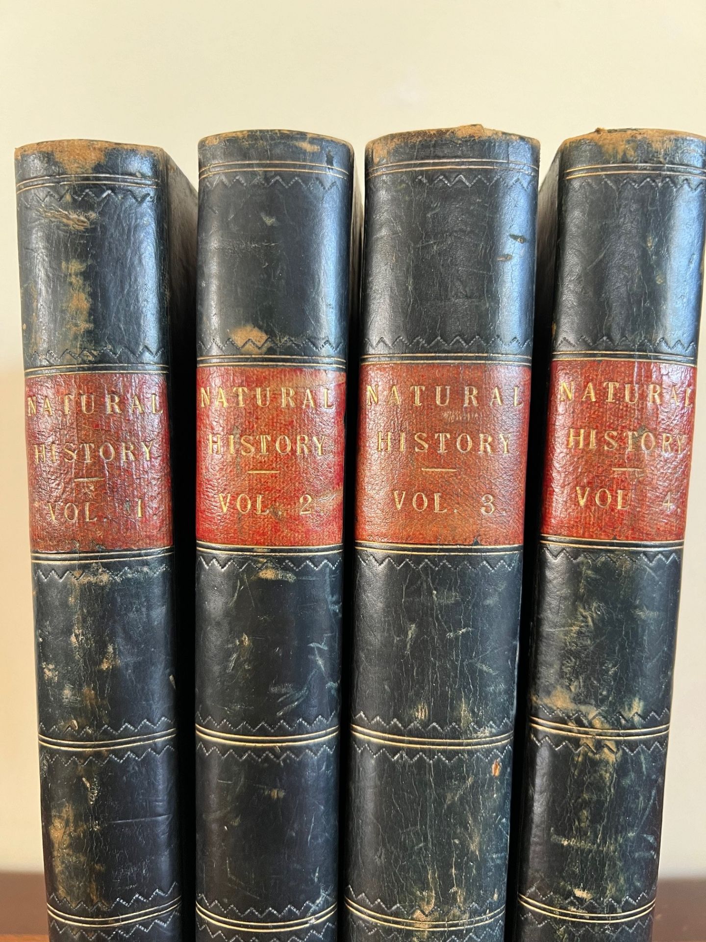 CASSELL'S NATURAL HISTORY, FOUR VOLUMES, QUARTER LEATHER BOARDS