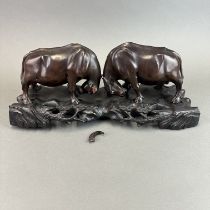 A pair of Chinese hardwood water buffalo, preparing to engage in a battle, mounted on a carved