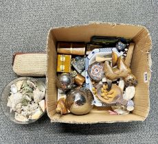 A box of mixed items including seashells.