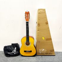 A Rocket Music acoustic guitar and case.