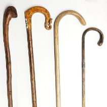 A group of four interesting walking sticks.