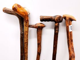 A group of five mixed walking sticks.