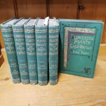 Six volumes of flowering plants by Anne Pratt published by Fredrick Warne & co London.