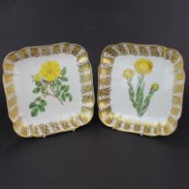 A pair of early 19th C Spode hand painted botanical dishes. 22 x 22cm.