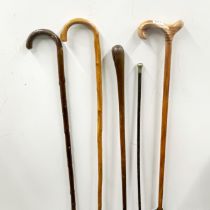 A group of four walking sticks and a swagger stick.