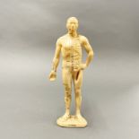 A mid 20thC Chinese moulded rubber acupuncture figure, H. 26cm.