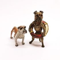 A Vienna style cold painted bronze figure of a dog wearing a life belt, H. 9cm. Together with a