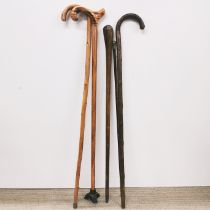 A group of four walking sticks and a swagger stick.