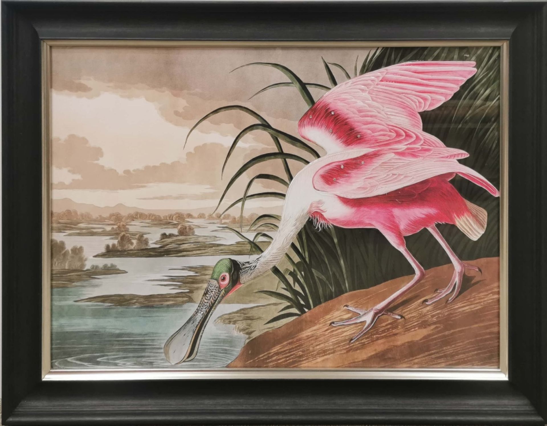 A reproduction framed print of 'Roseate Spoonbill' after John James Audubon (American, 1785-1851),