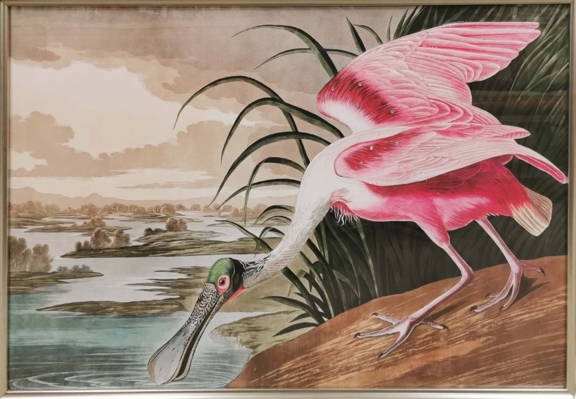 A reproduction framed print of 'Roseate Spoonbill' after John James Audubon (American, 1785-1851), - Image 2 of 3