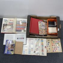 A large box of stamps and stamp albums.