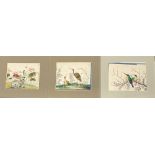 Three mounted Chinese watercolours of birds on rice paper, mount size 33 x 28cm.