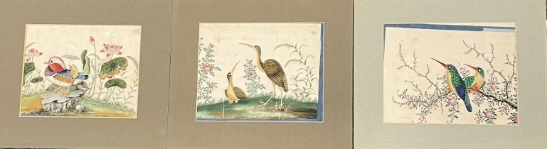 Three mounted Chinese watercolours of birds on rice paper, mount size 33 x 28cm.