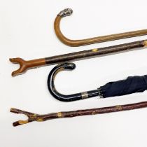 A group of three walking sticks and a vintage umbrella.