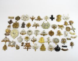 An extensive collection of military cap badges.