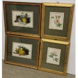 Four gilt framed 19th century prints of flowers and fruit, largest frame size 34 x 29cm.