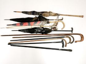 A collection of mainly antique walking sticks, umbrellas and parasols.