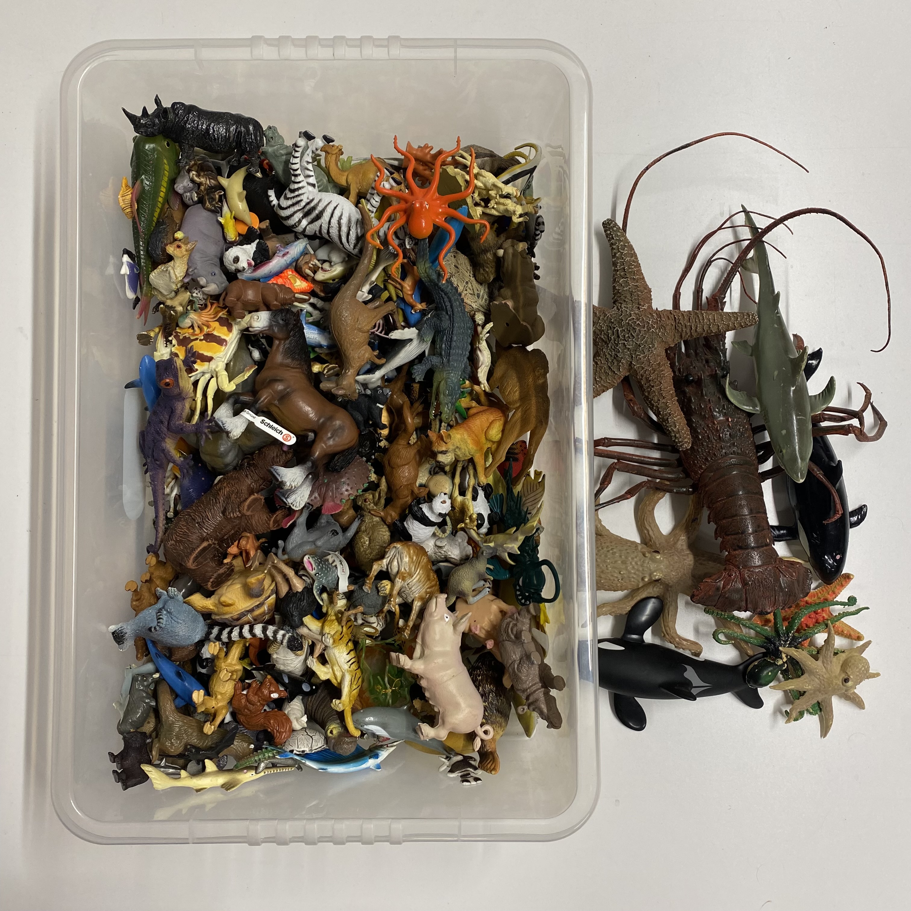 A collection of various animals and marine wildlife toys.
