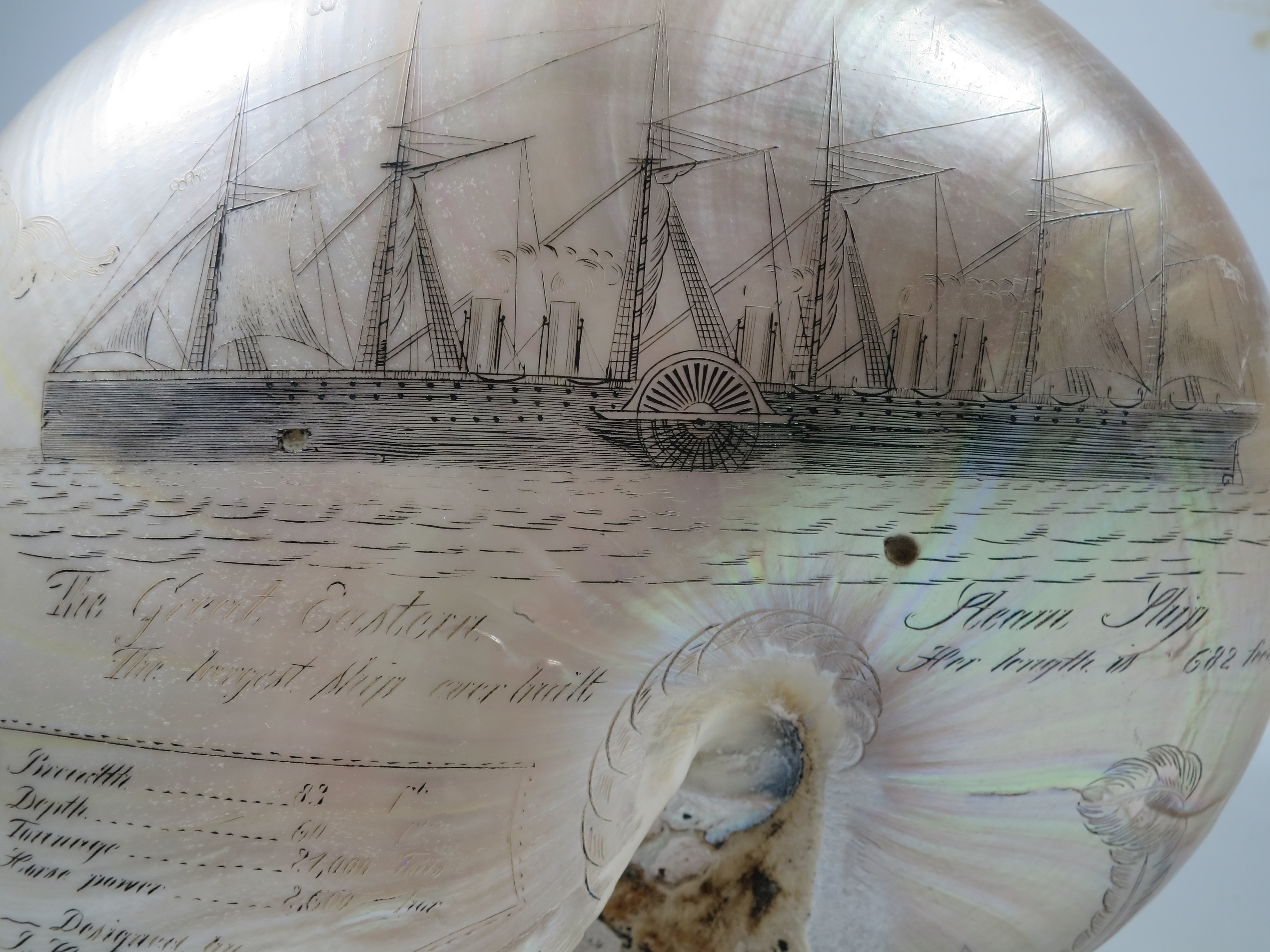 A LARGE-SIZED MID-19TH CENTURY SCRIMSHAW WORKED NAUTILUS SHELL BY C.H. WOOD - Image 12 of 14