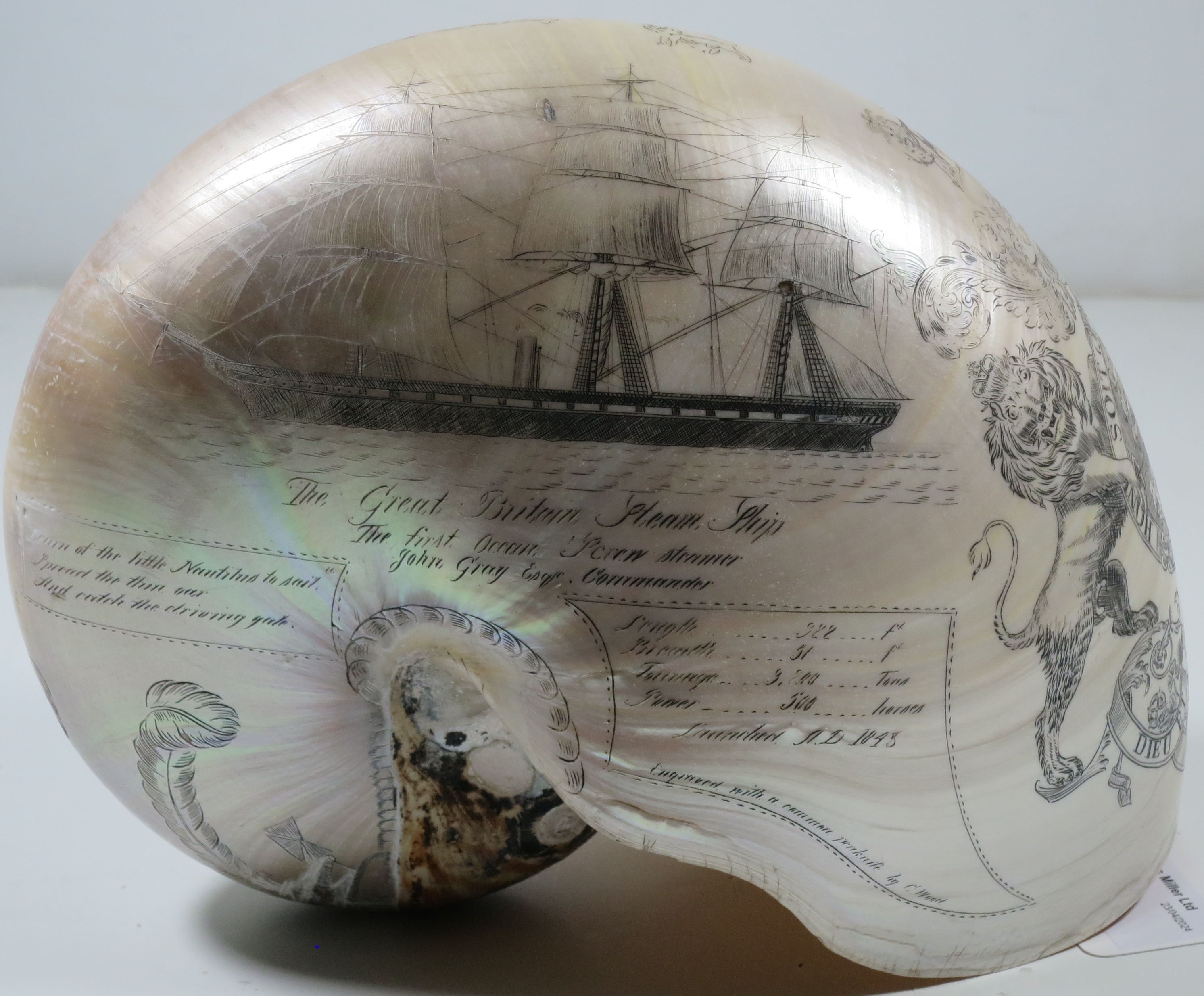 A LARGE-SIZED MID-19TH CENTURY SCRIMSHAW WORKED NAUTILUS SHELL BY C.H. WOOD - Image 4 of 14