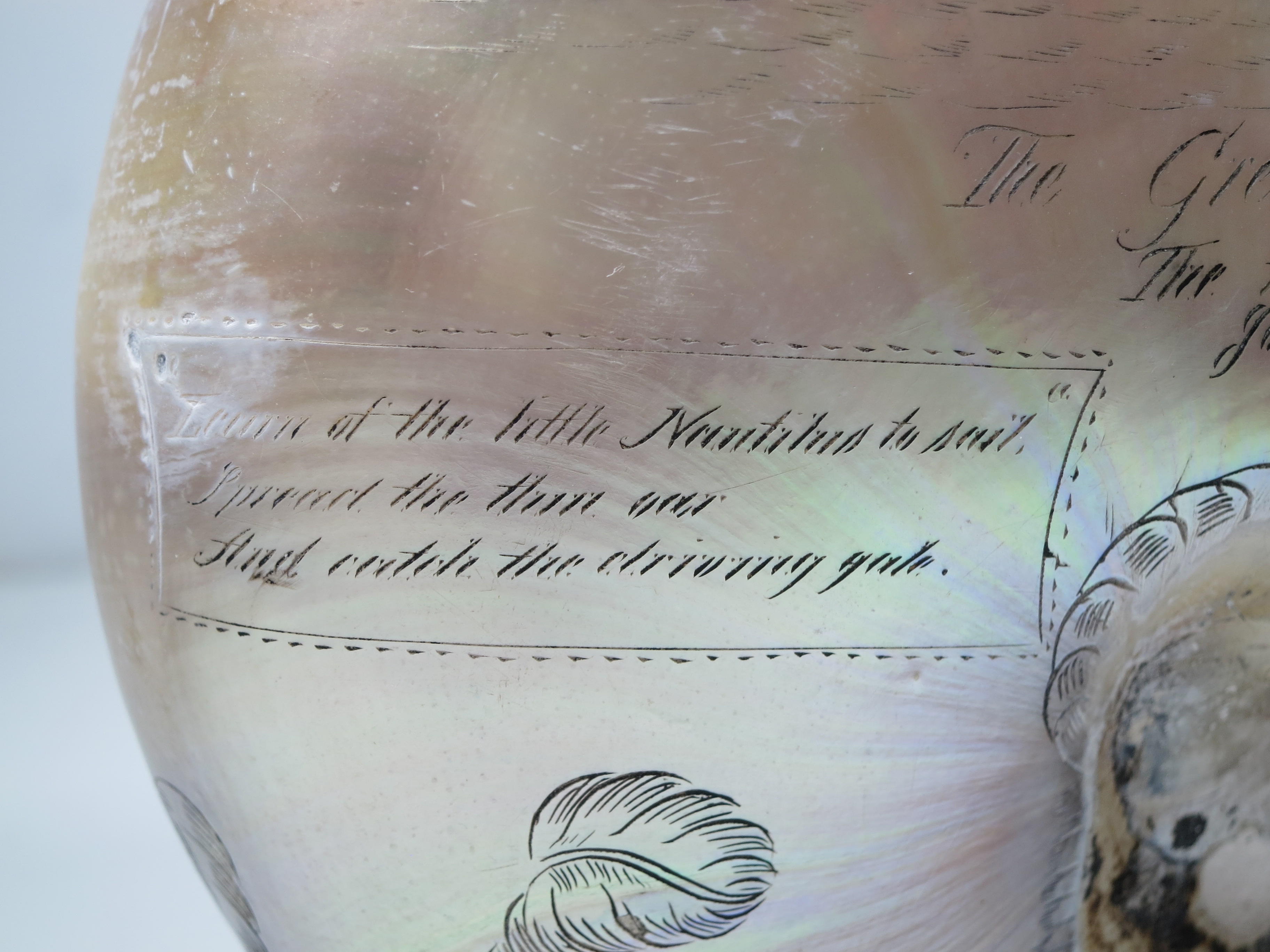 A LARGE-SIZED MID-19TH CENTURY SCRIMSHAW WORKED NAUTILUS SHELL BY C.H. WOOD - Image 11 of 14