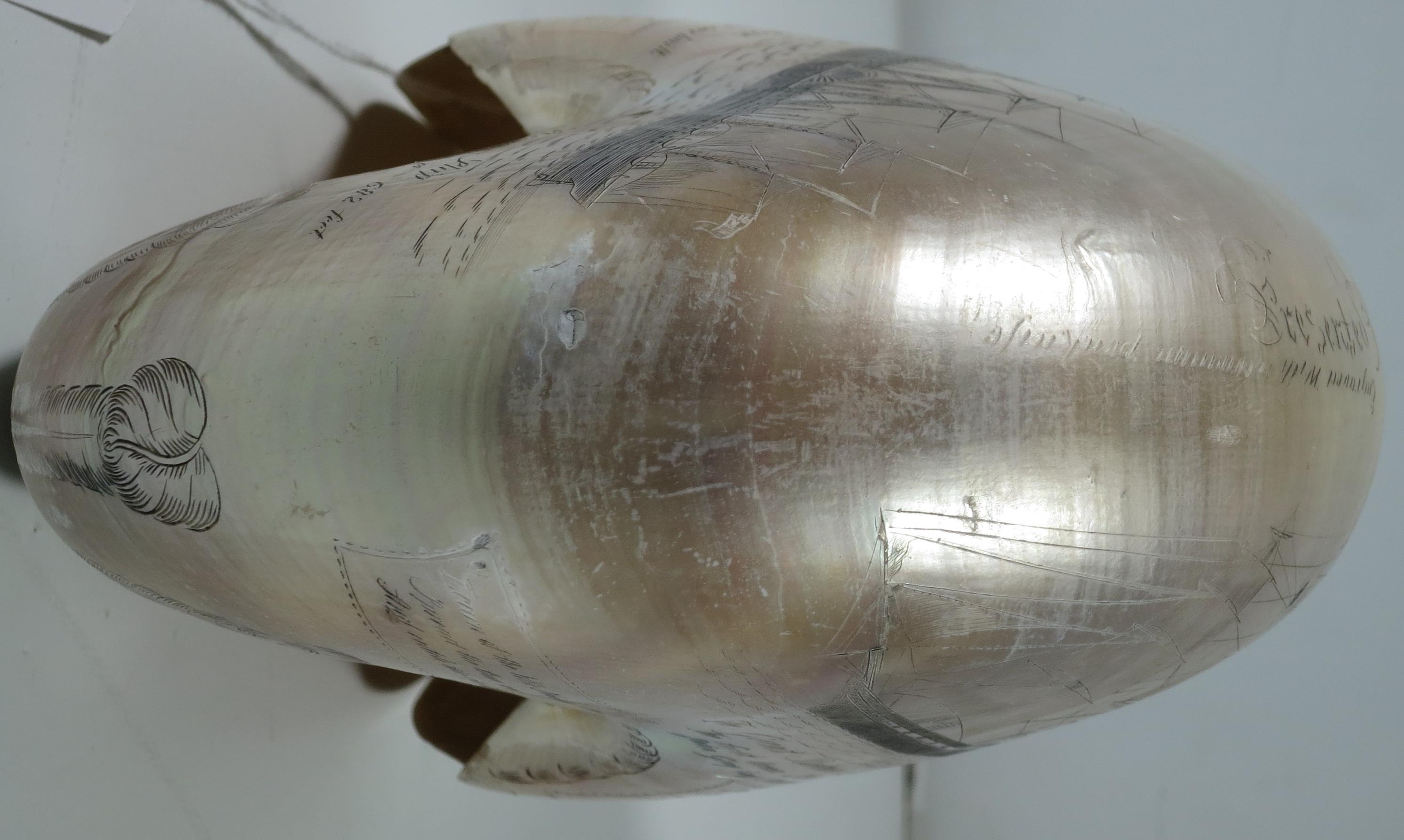 A LARGE-SIZED MID-19TH CENTURY SCRIMSHAW WORKED NAUTILUS SHELL BY C.H. WOOD - Image 3 of 14